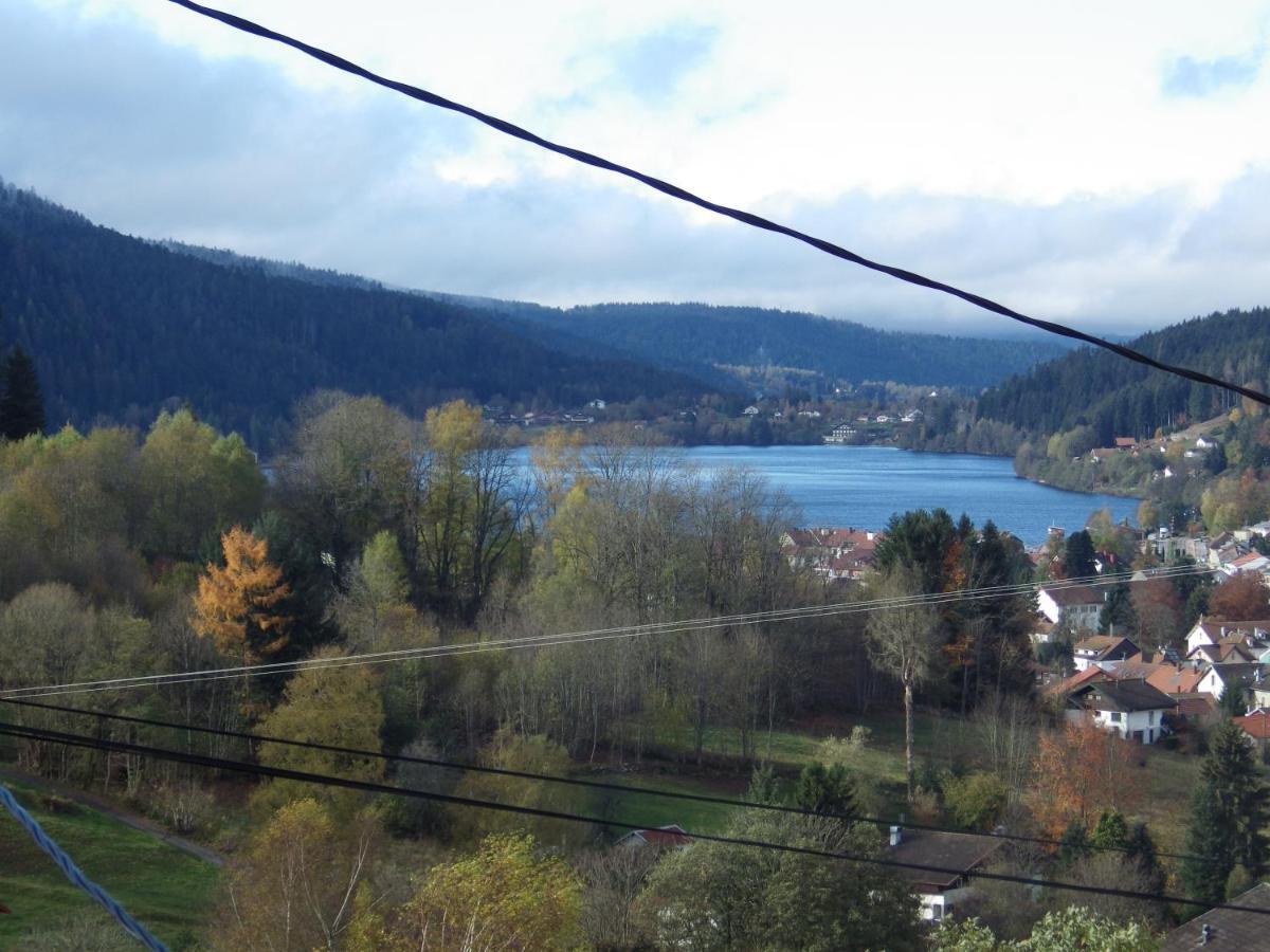 Au Grenier Du Lac Gérardmer Exterior foto